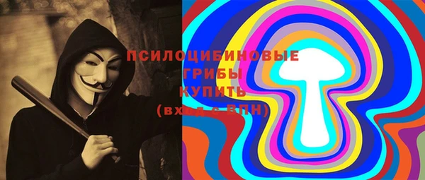 прущие грибы Баксан