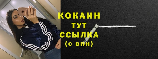 прущие грибы Баксан