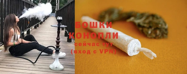 прущие грибы Баксан