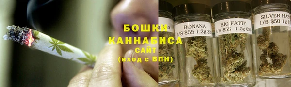 прущие грибы Баксан