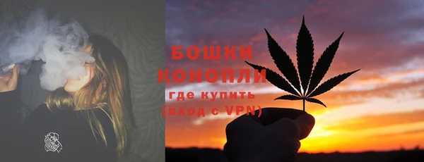 прущие грибы Баксан