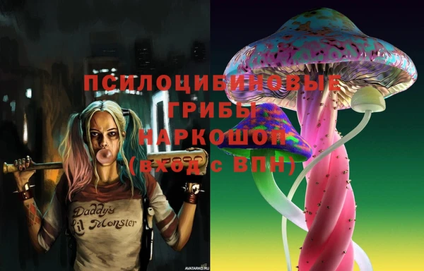 прущие грибы Баксан