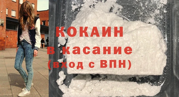 прущие грибы Баксан