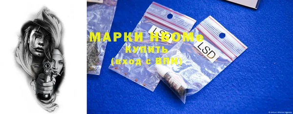 прущие грибы Баксан