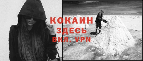 прущие грибы Баксан