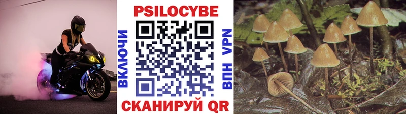 нарко площадка телеграм  Белёв  Псилоцибиновые грибы Magic Shrooms 